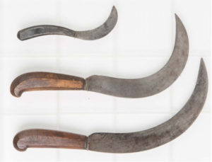 Dr. Benjamin Tredwell's amputation knives, National Museum of Health and Medicine. www.researchgate.net.
